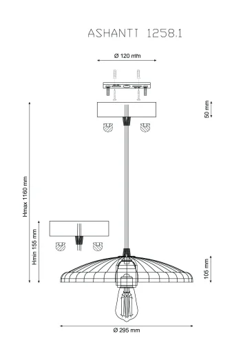 Светильник подвесной лофт ASHANTI 1258.1 Lucia Tucci прозрачный 1 лампа, основание чёрное в стиле лофт  фото 3